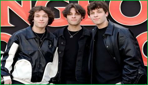 Exploring The Sturnilo Triplets: A Unique Phenomenon In Avian Biology